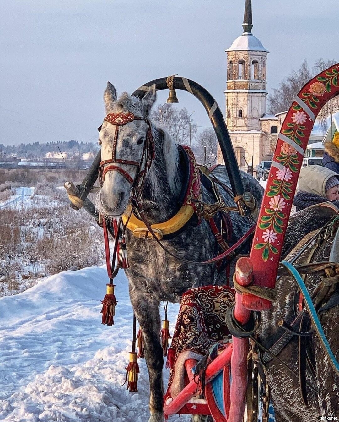 Солянка