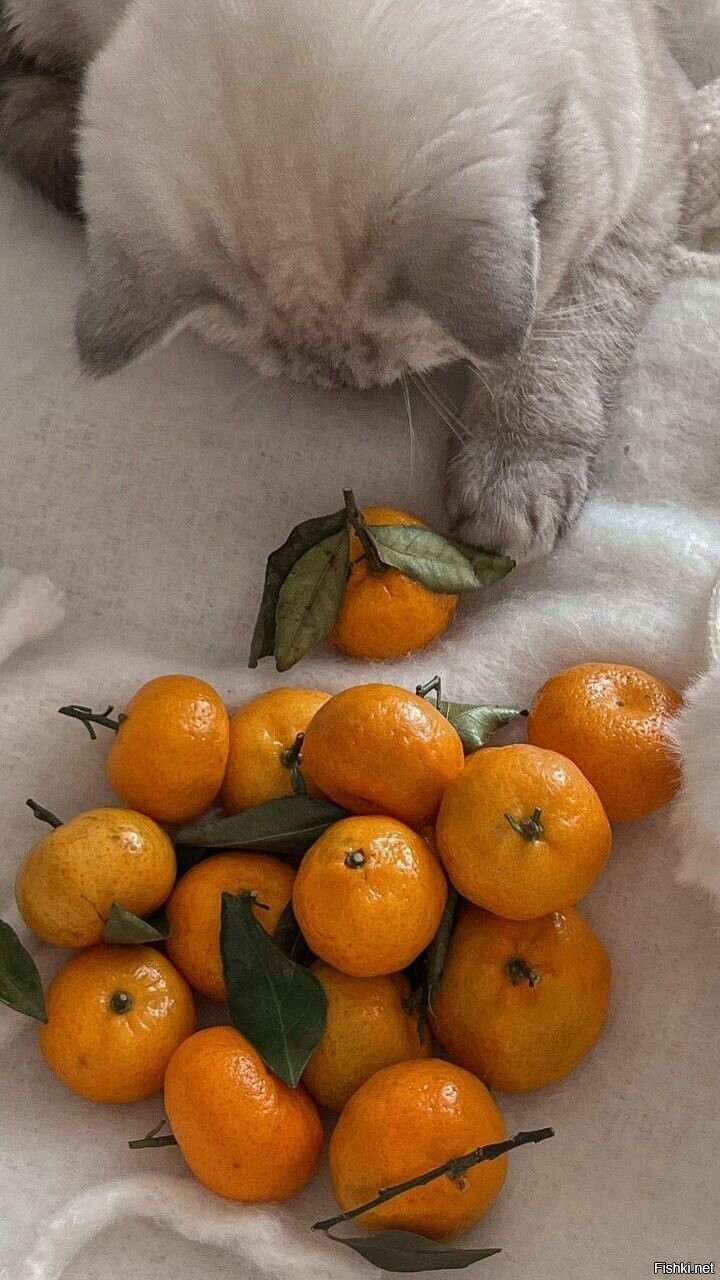 Доброе утро