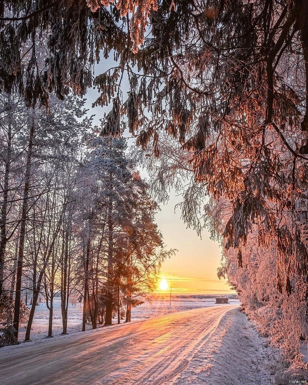 Солянка