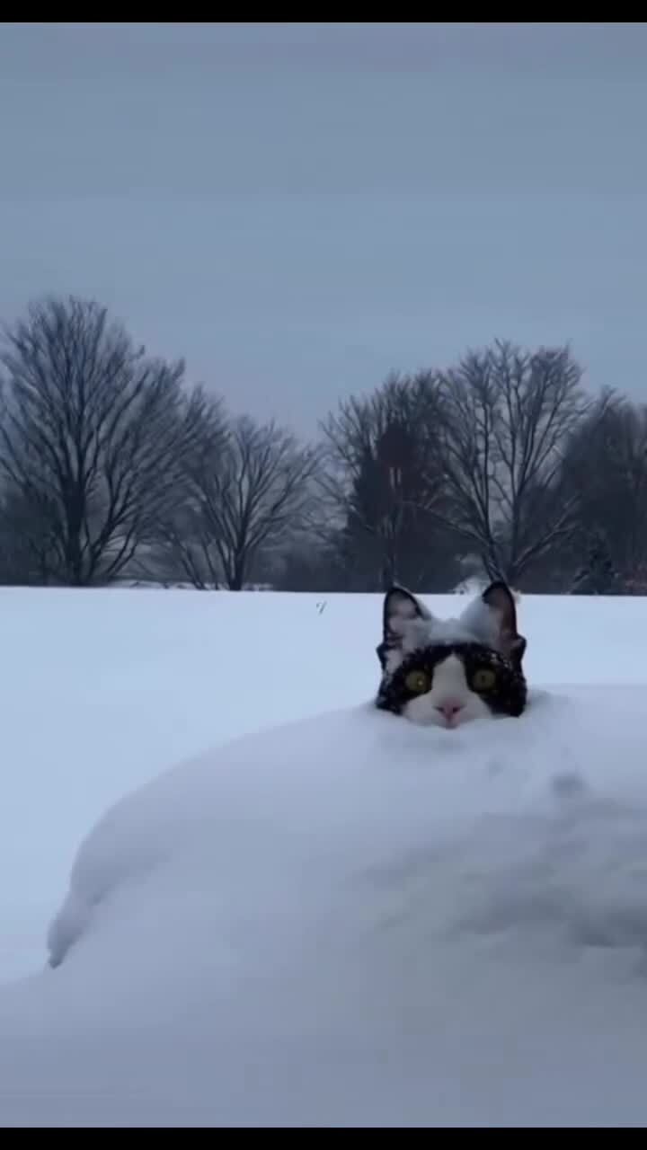 Забавно)