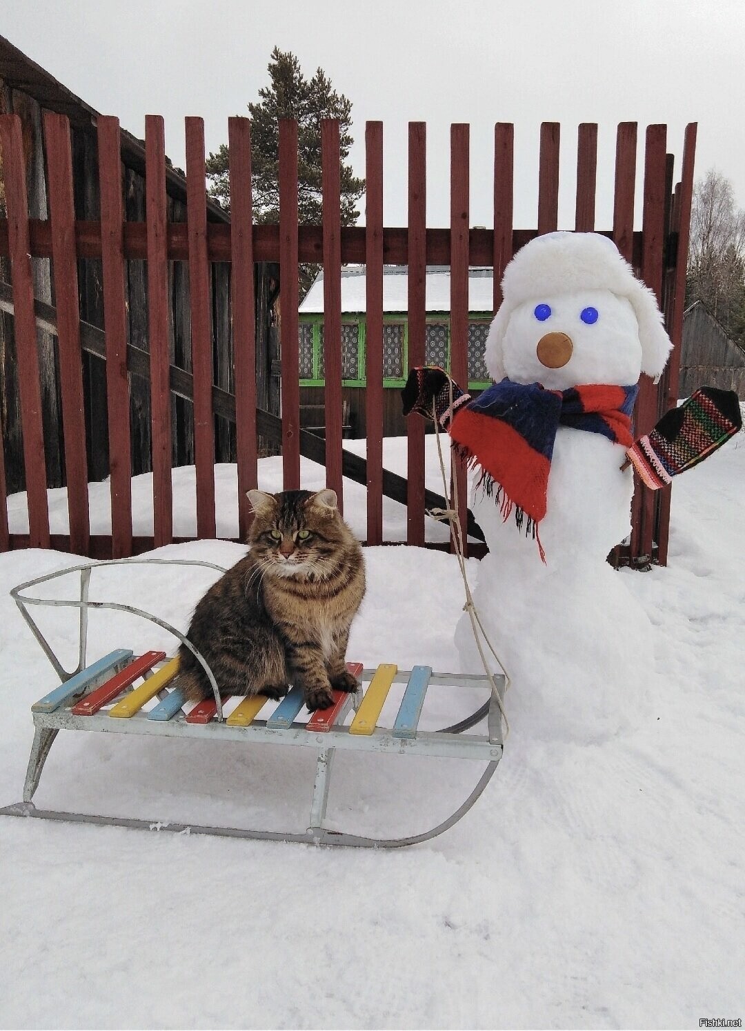 Солянка