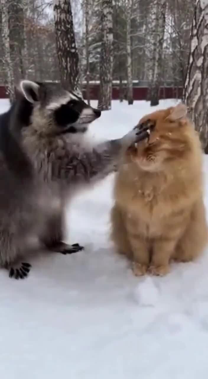 Позитивное)