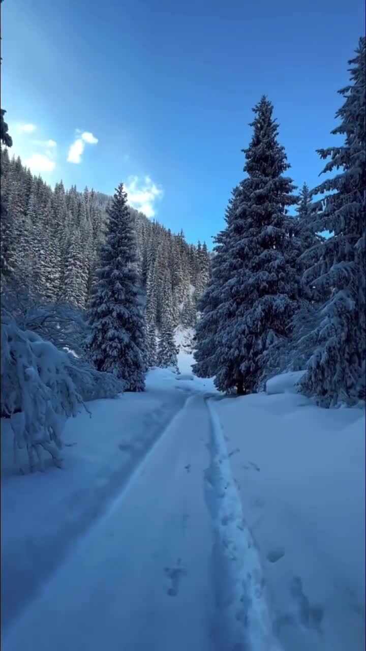 Красота