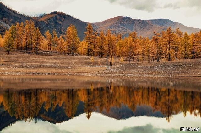 Осенний Орлик, Бурятия
