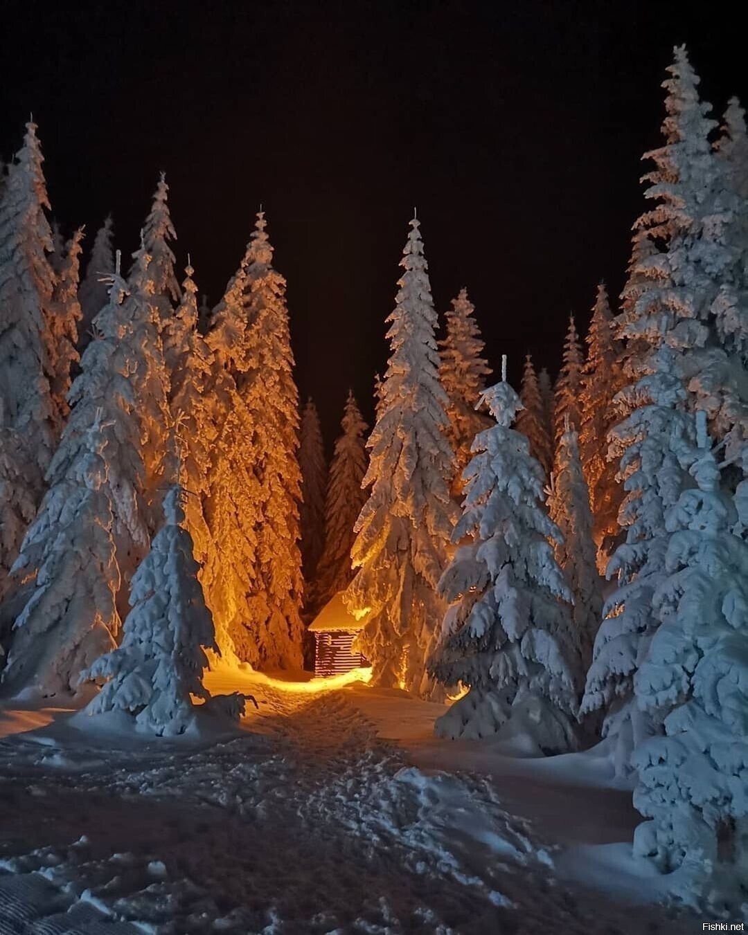 Солянка