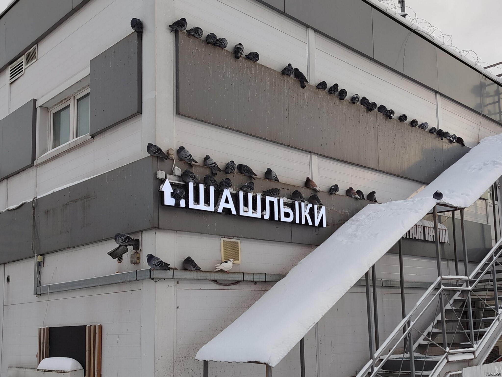 Солянка