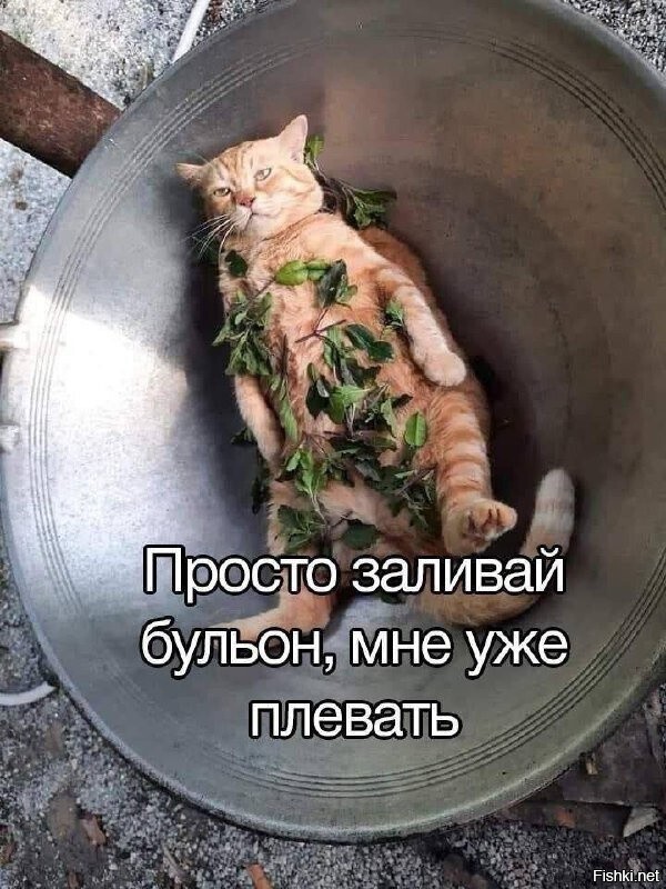 Солянка
