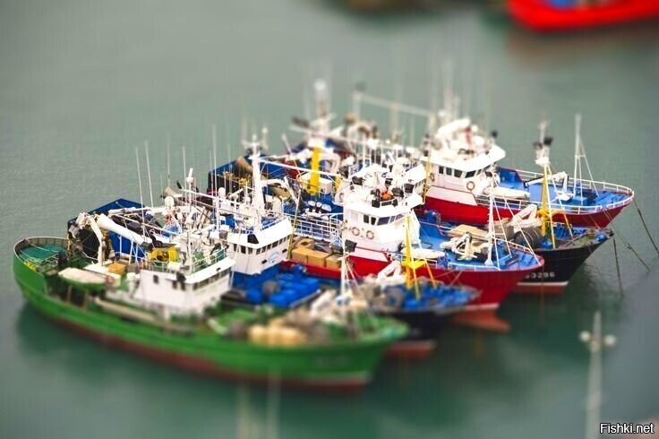 Из картинки Водяного приколькый ТилтШифт получился