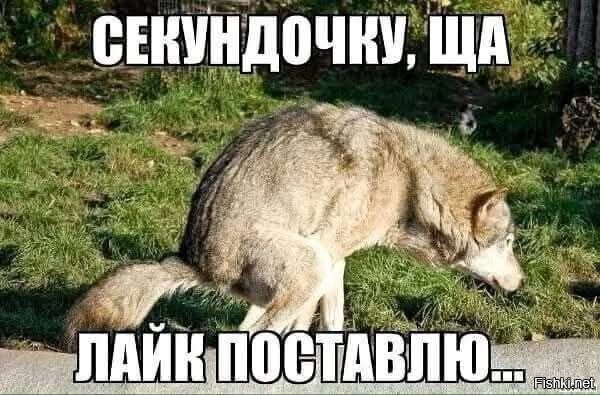 Для бандеровских мразей