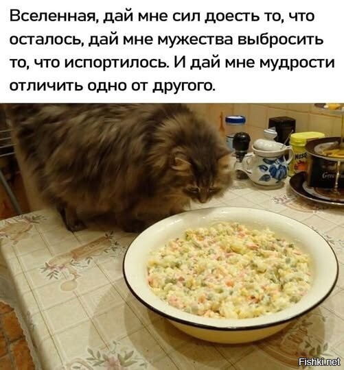 Солянка