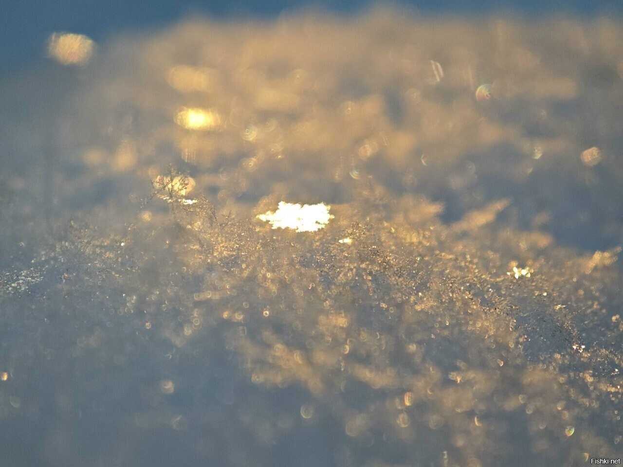 Прошлогодний снег