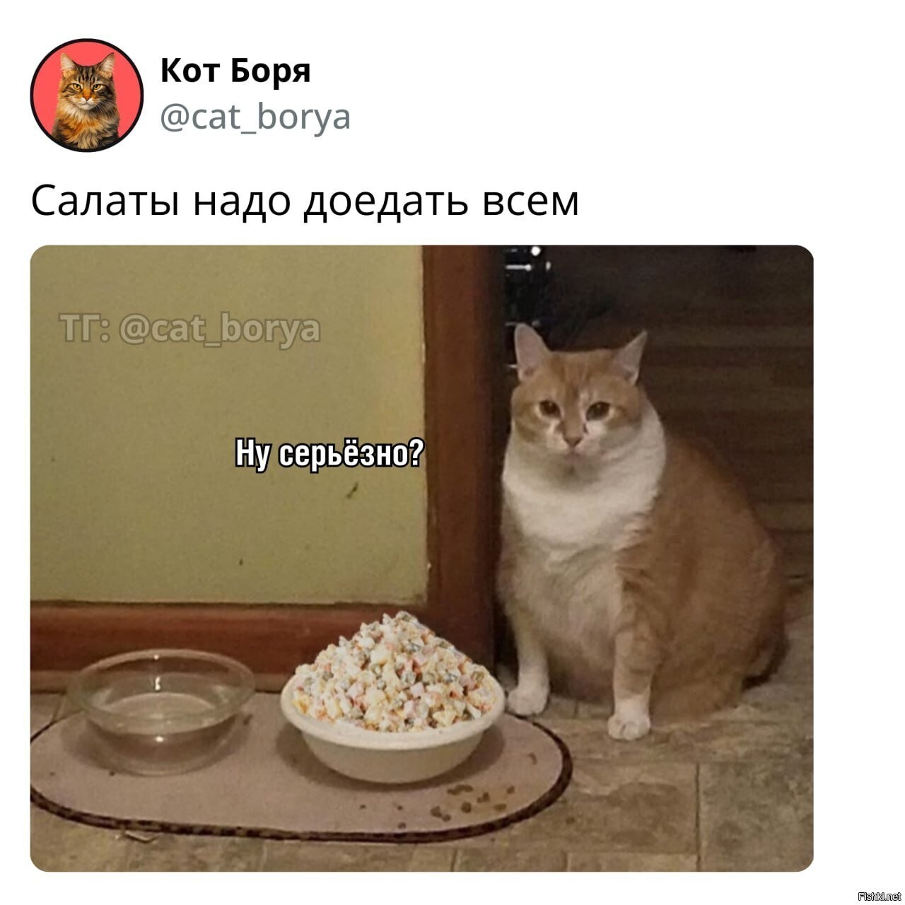 Солянка