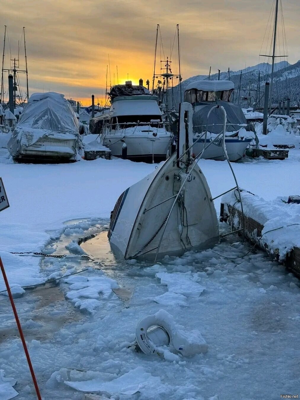 Солянка