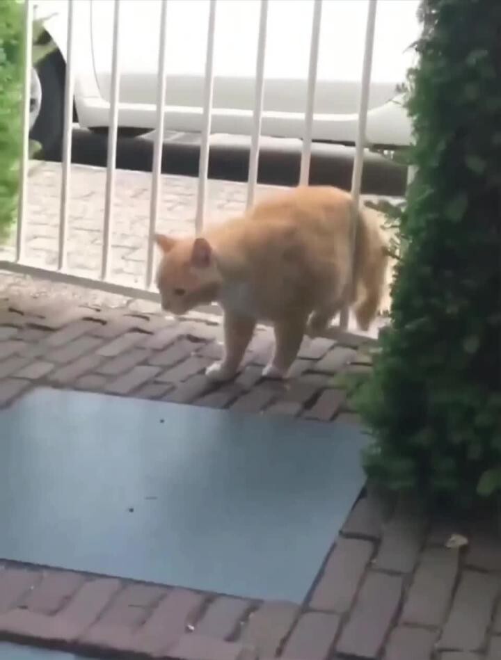 Актуальное)