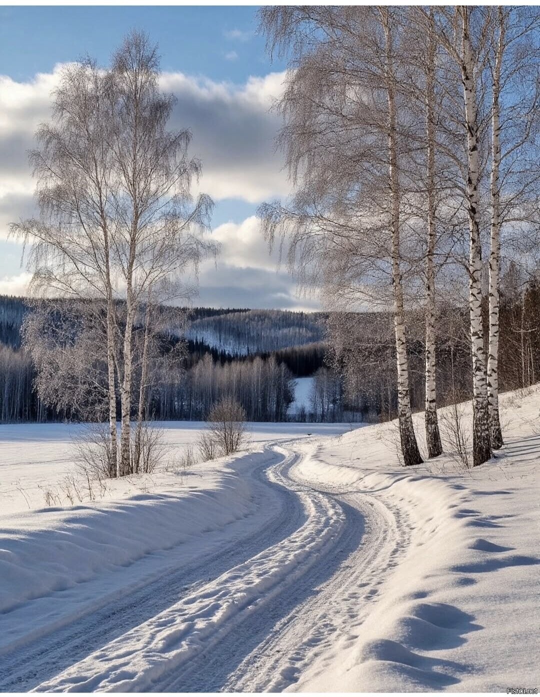 Солянка