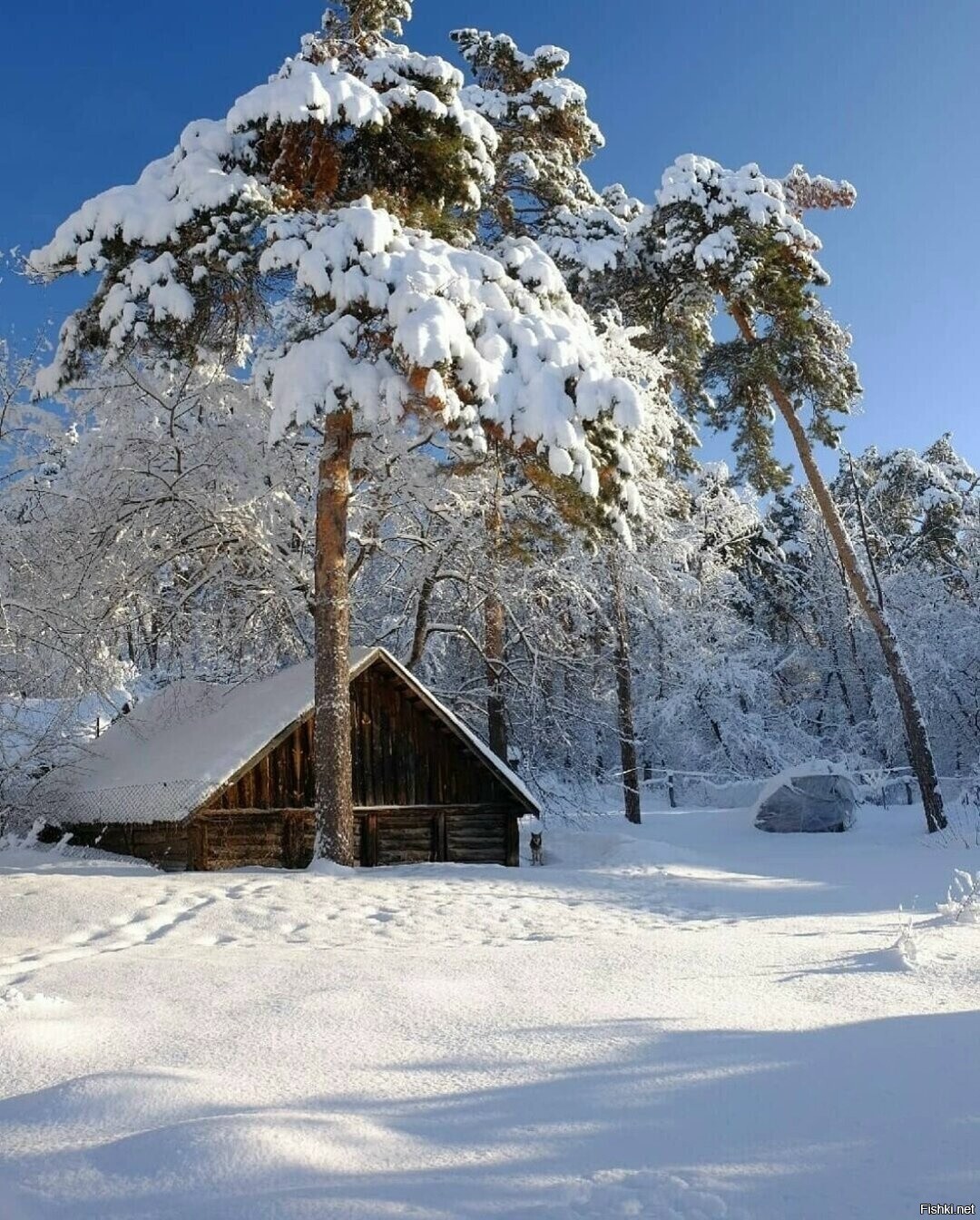 Солянка