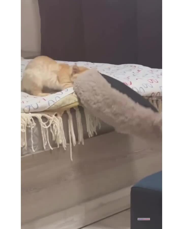 Кроватку на кроватку)