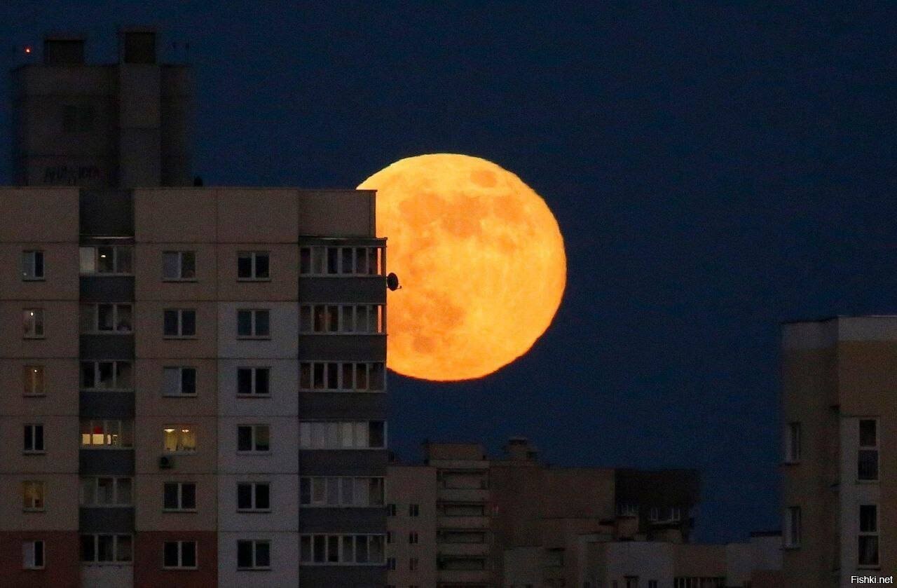 Сегодня в Красноярске