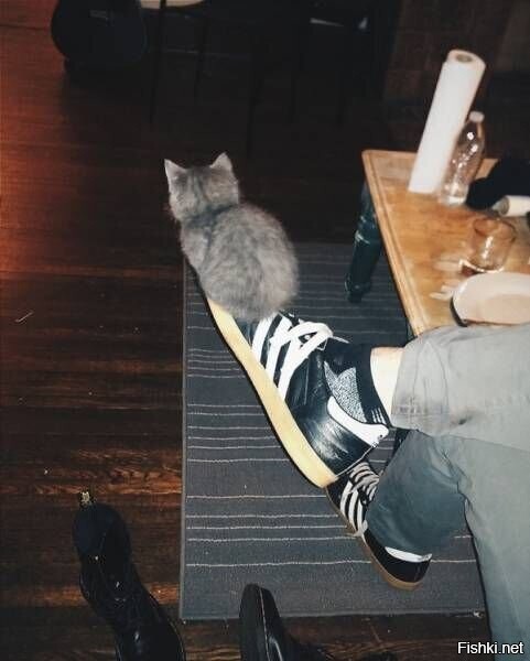 Солянка