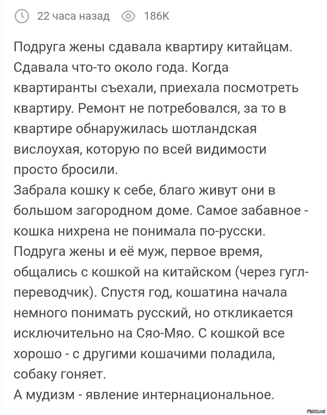 Солянка