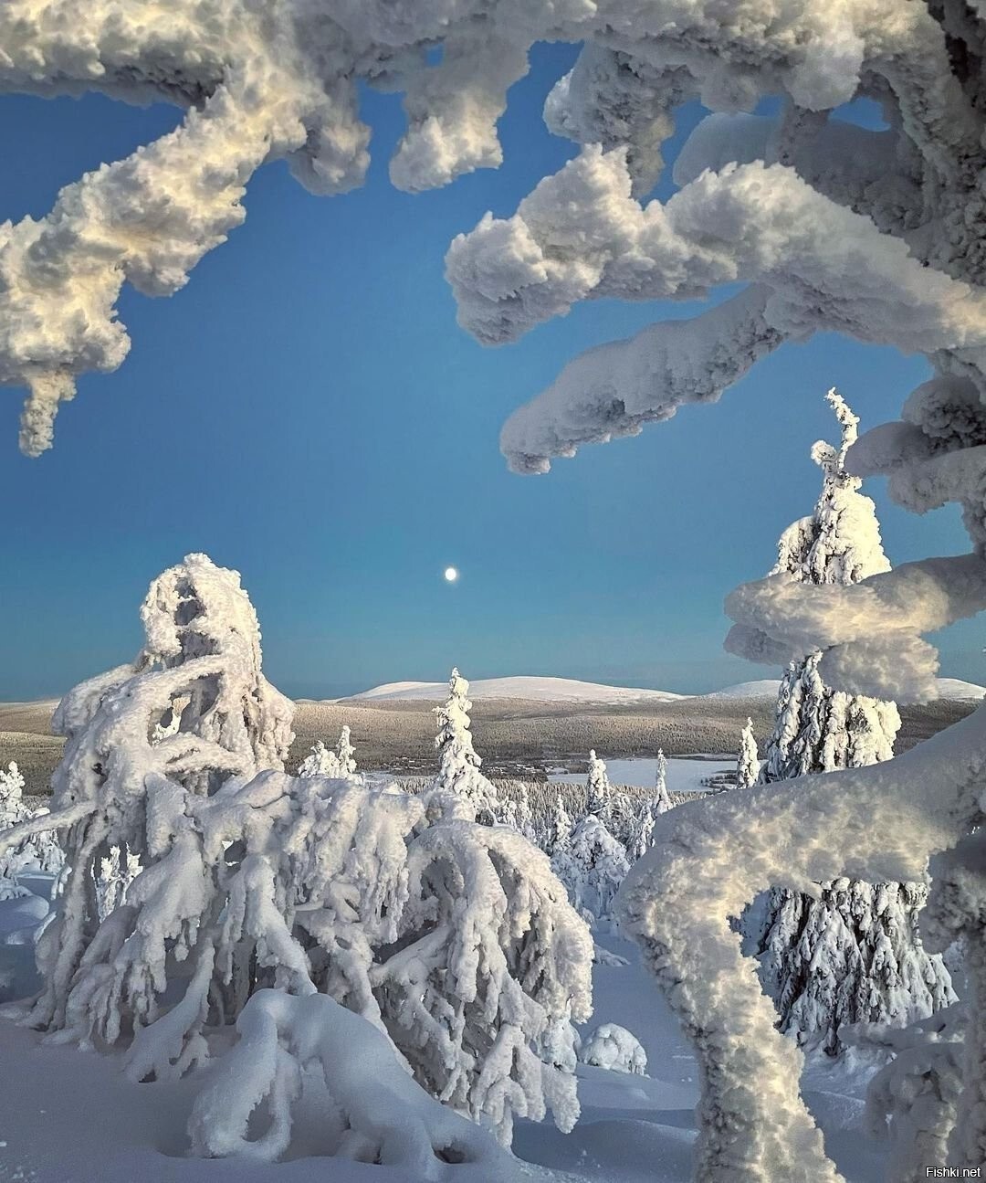 Солянка