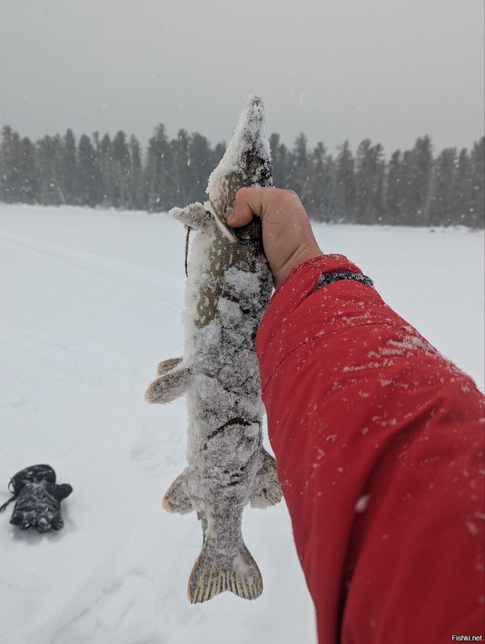 Солянка