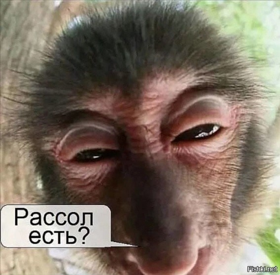 Солянка