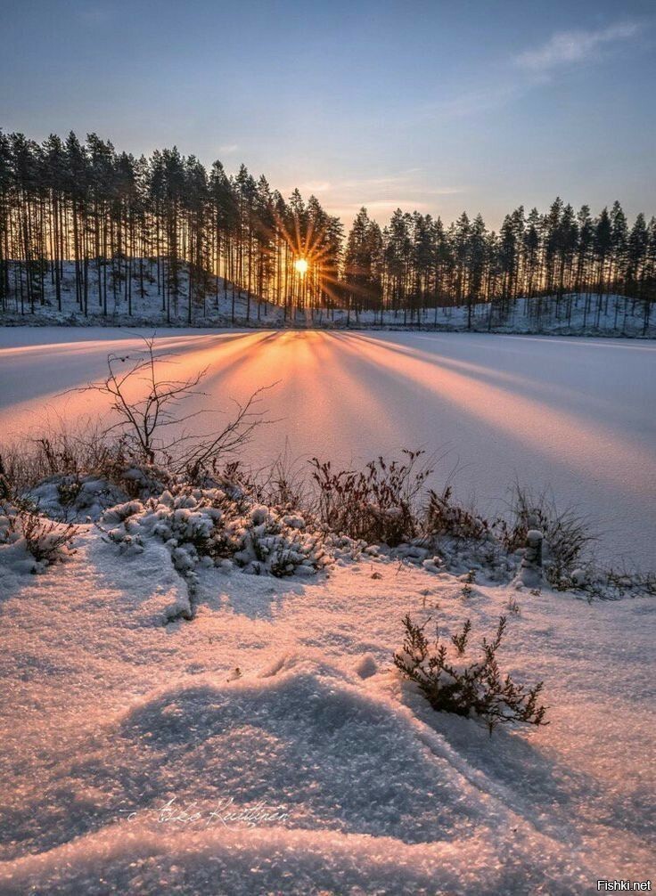 Солянка