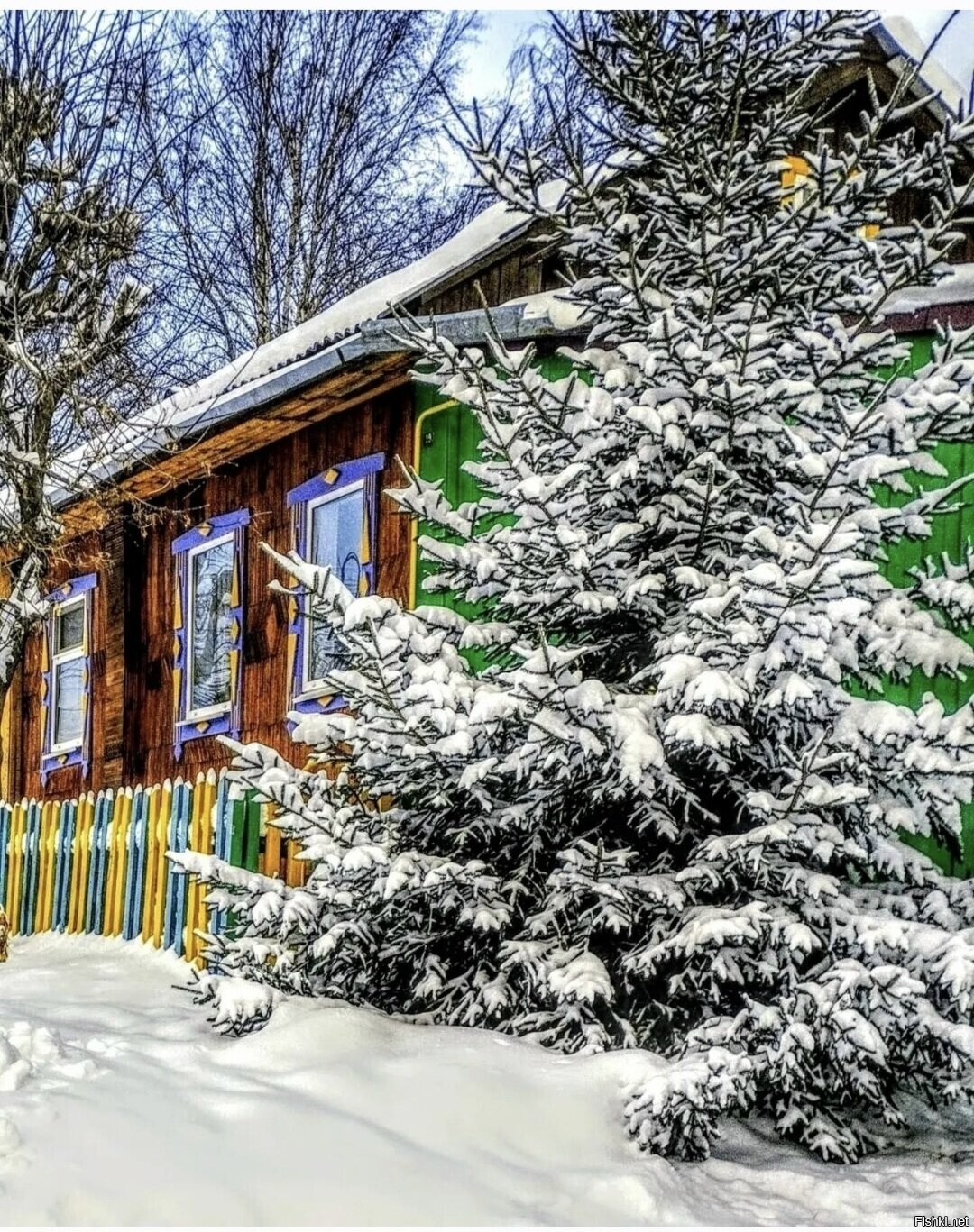 Солянка