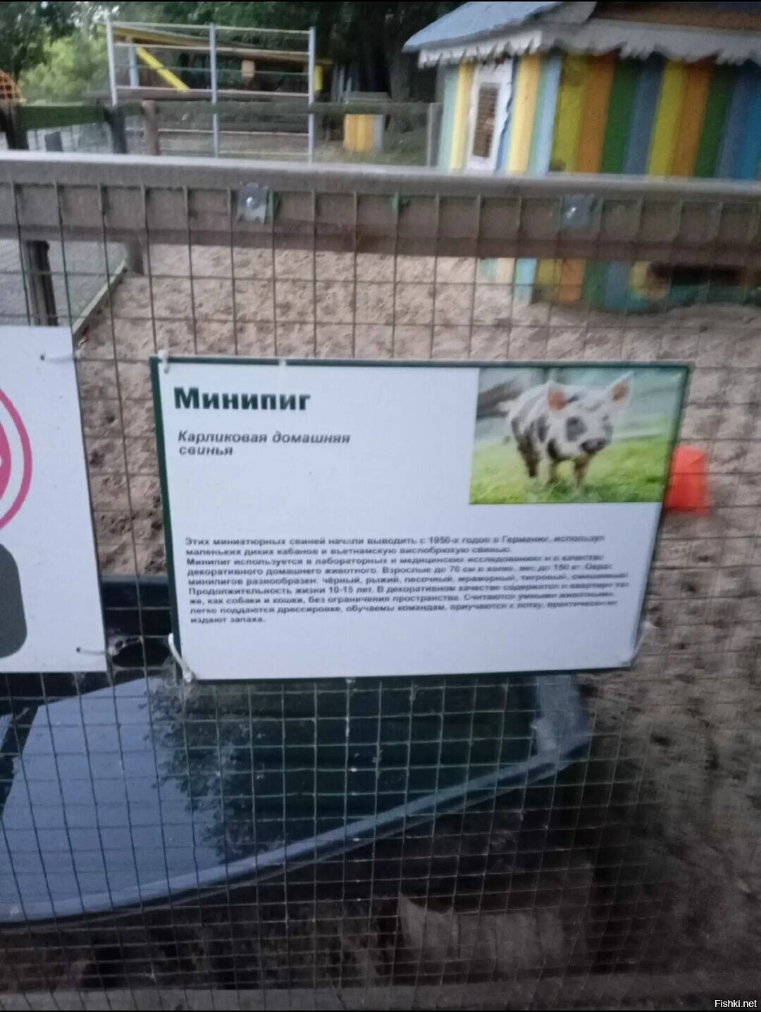 Ну почти