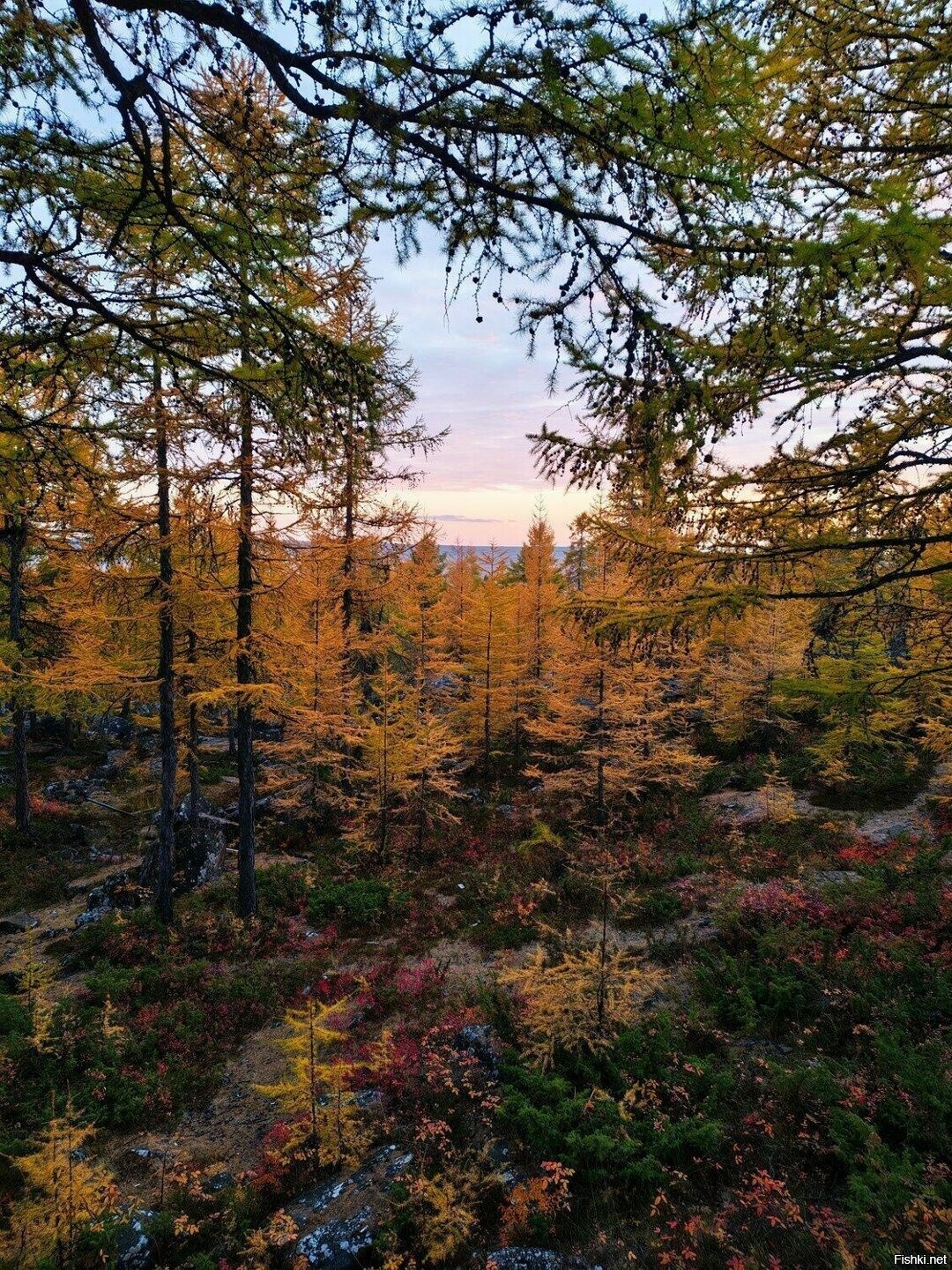 Якутия