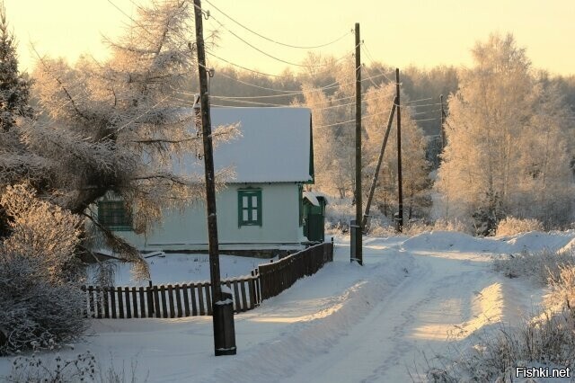 Солянка