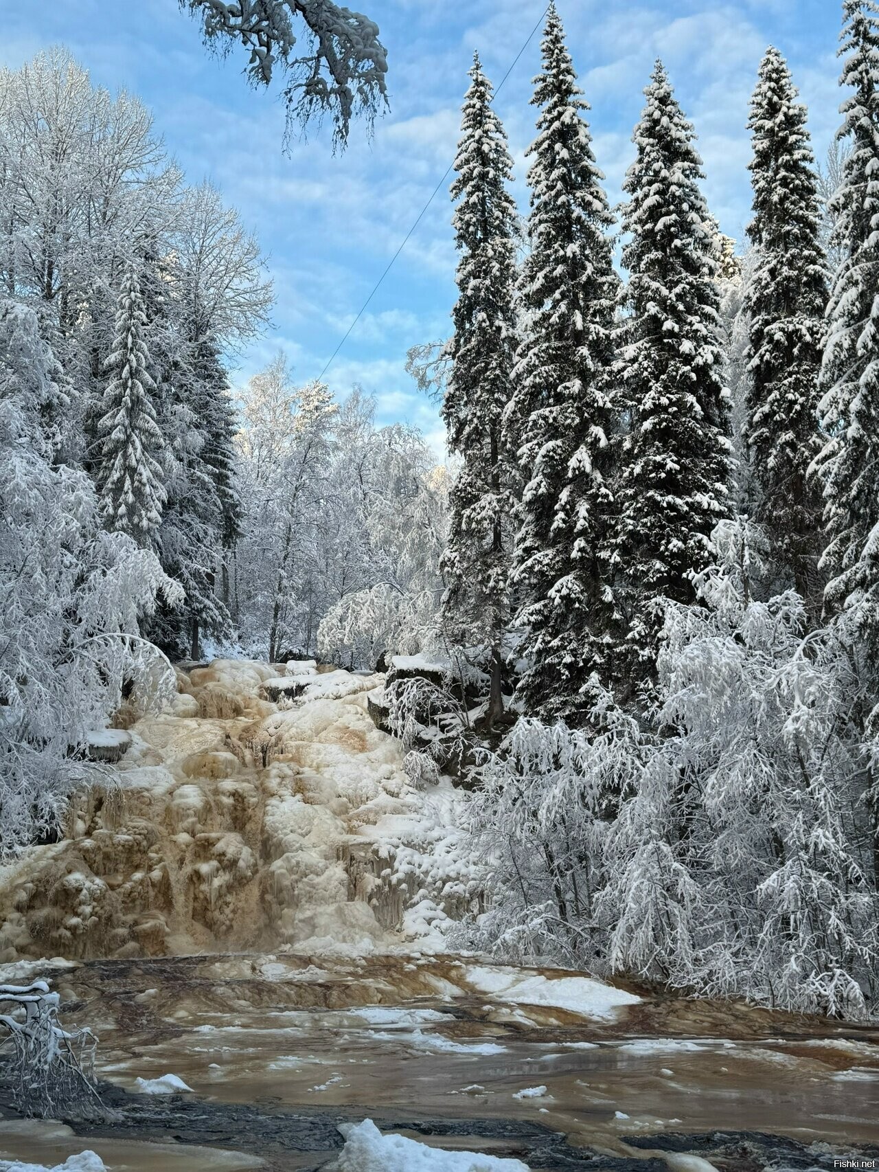 Солянка