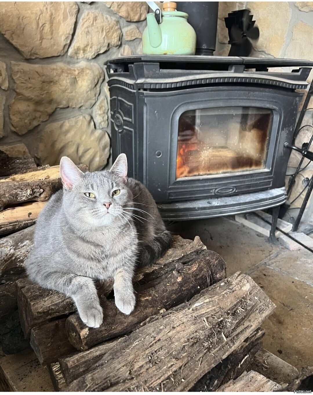 Солянка