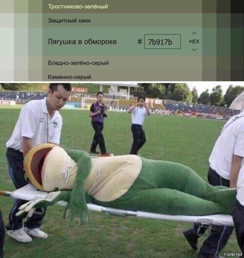 Солянка