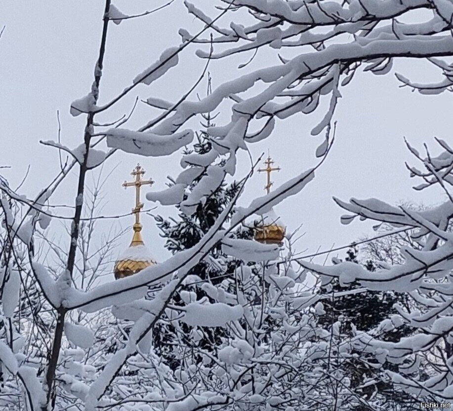 Солянка