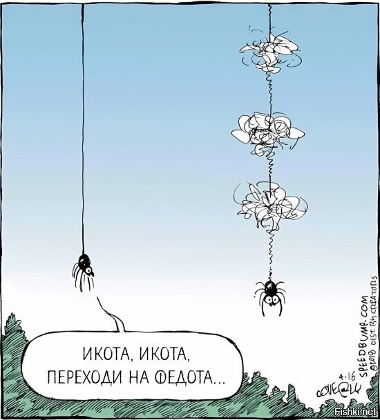 Солянка