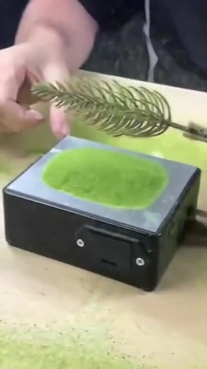 Солянка