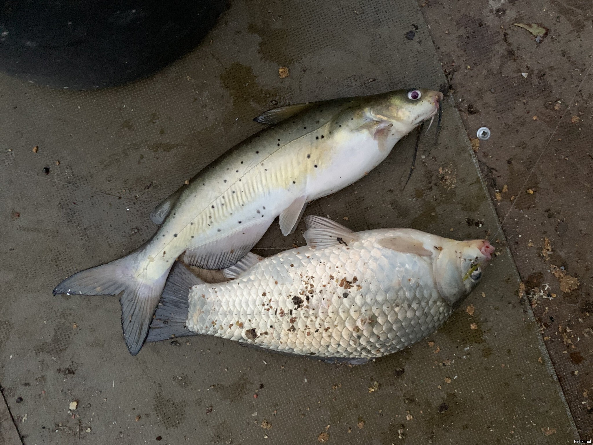 Скромно, но вкусно