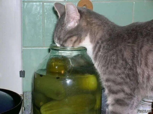 Солянка
