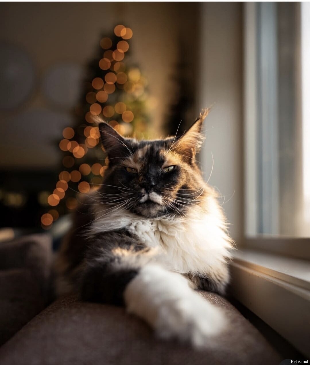 Доброе утро