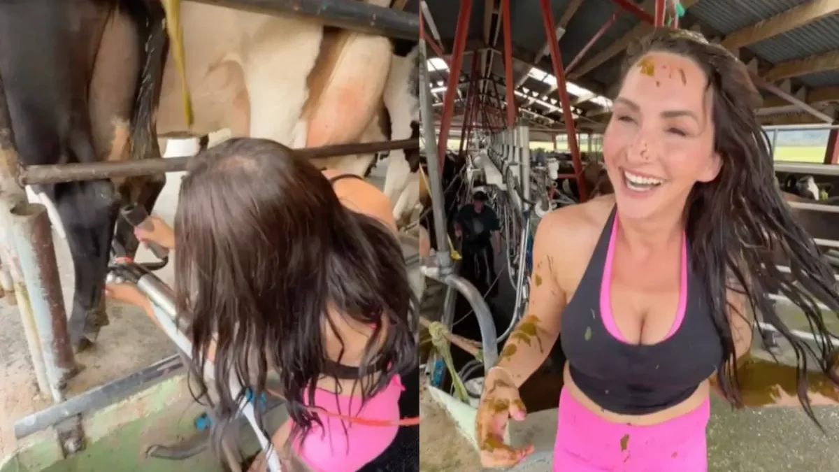 Будни фермера без прикрас: первый опыт на ферме