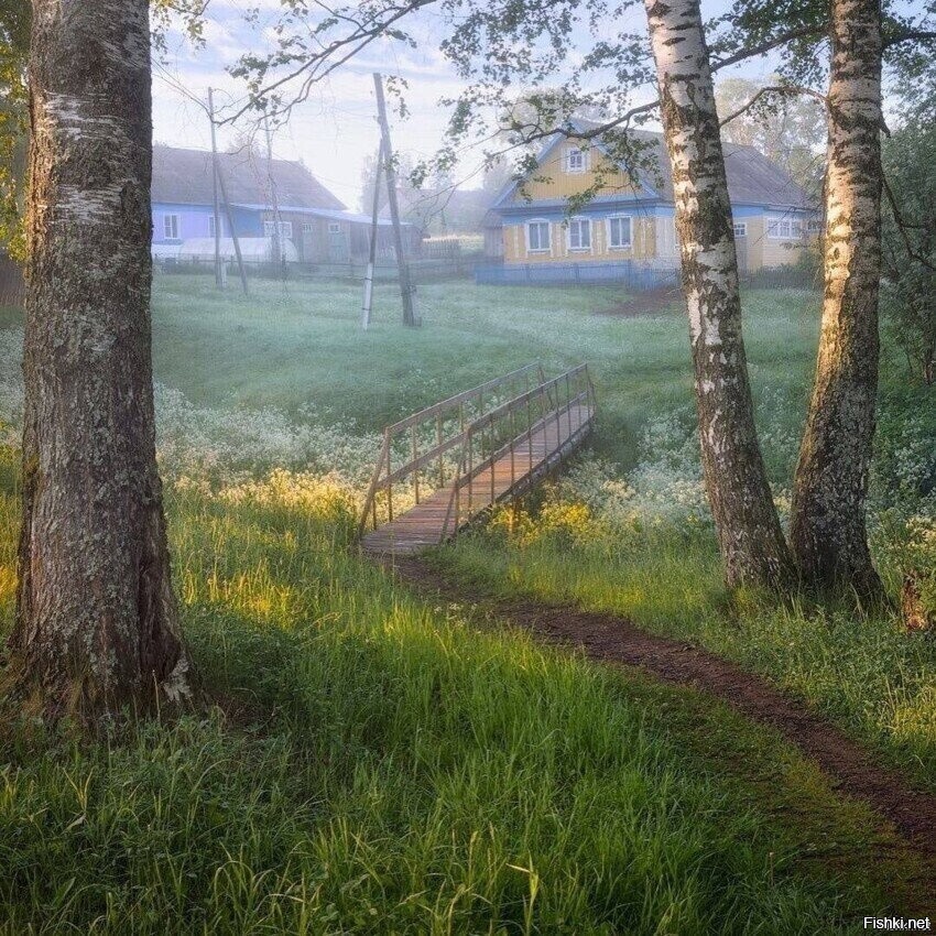 Солянка