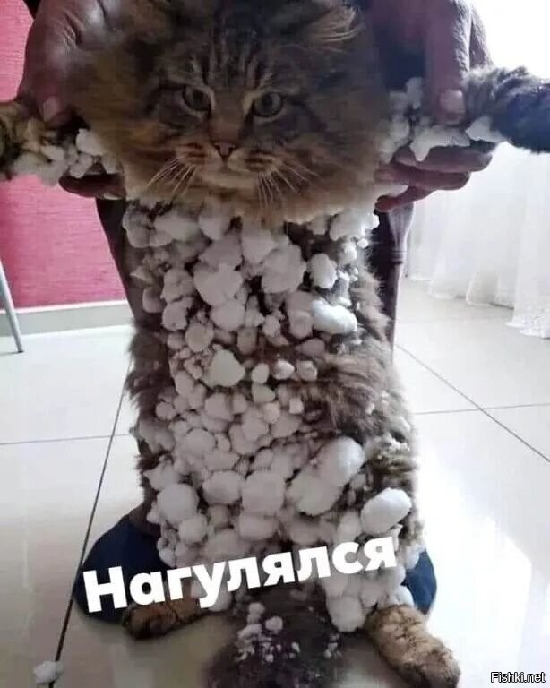 Солянка