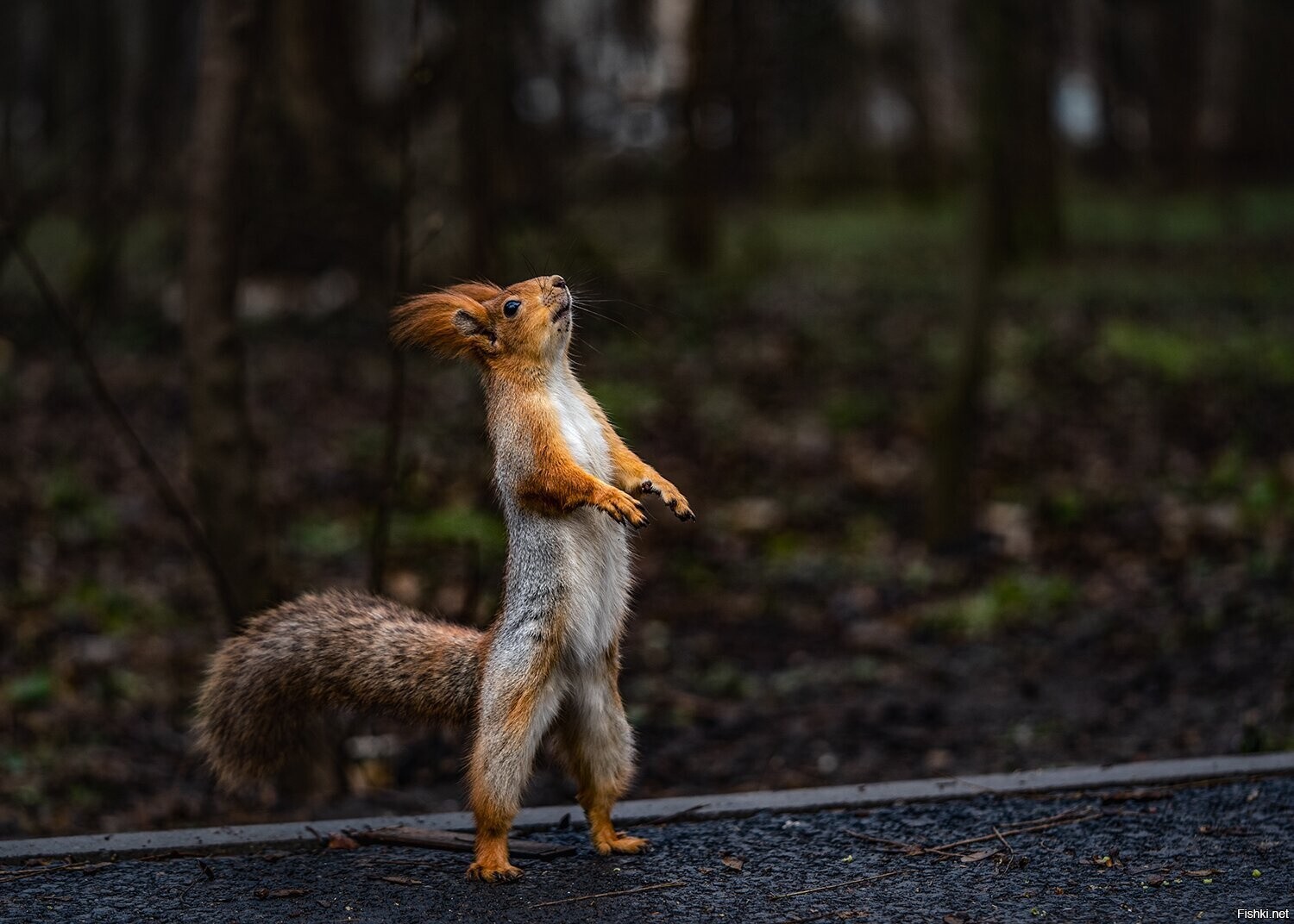 А какой сегодня день недели