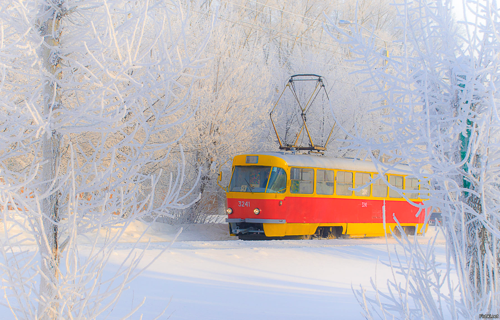 Солянка