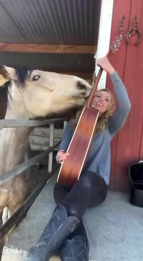 Музыка нас связала