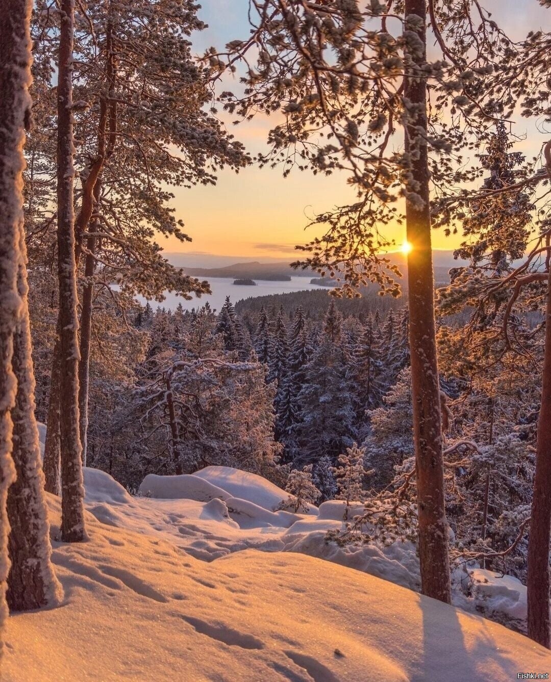 Солянка