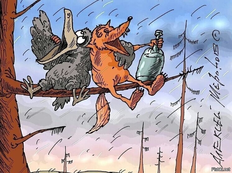Солянка