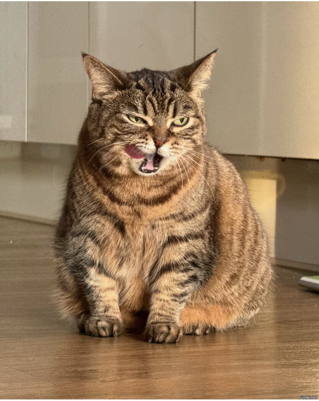 Солянка